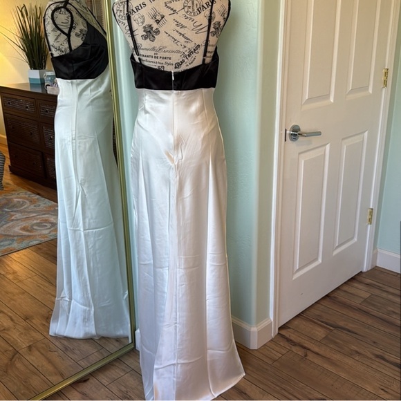 NWT Lyra Two-Toned Satin Dress - Picture 3 of 6